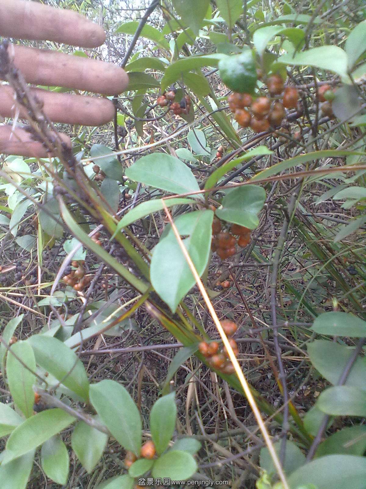 20131111173.jpg