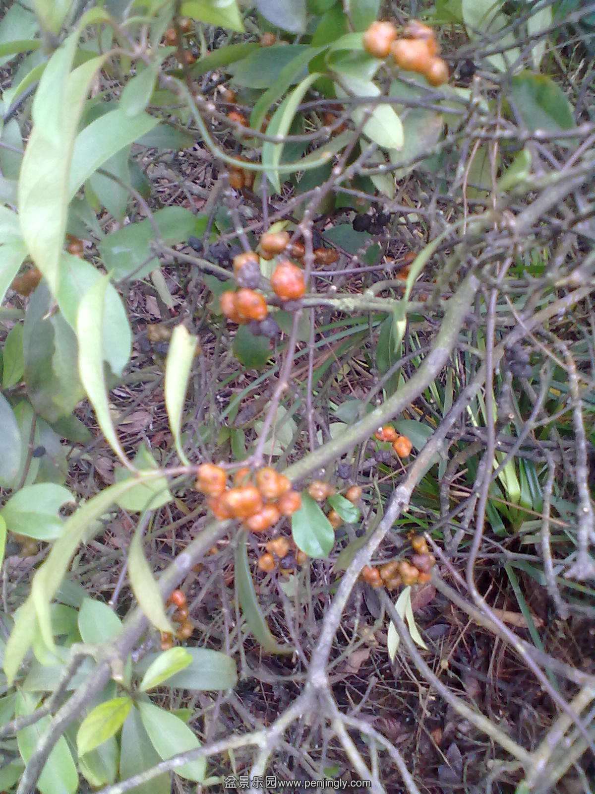 20131111174.jpg