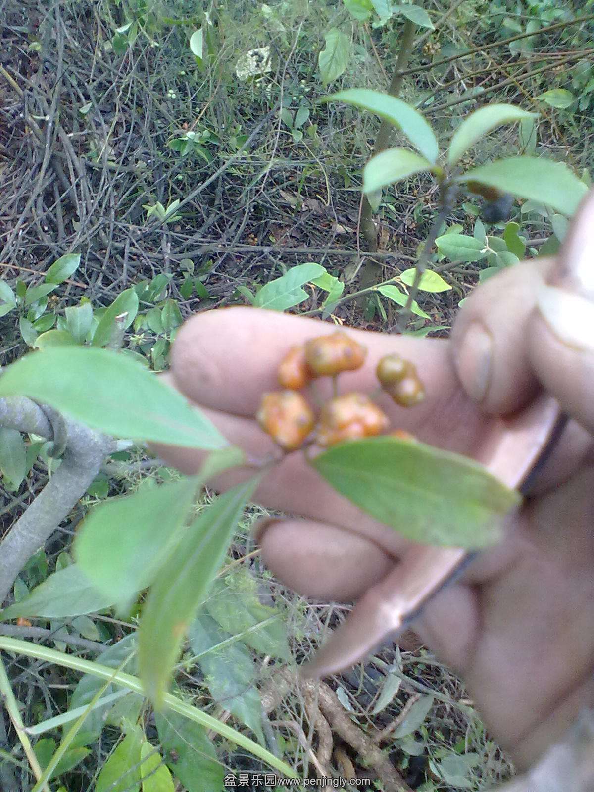 20131111176.jpg