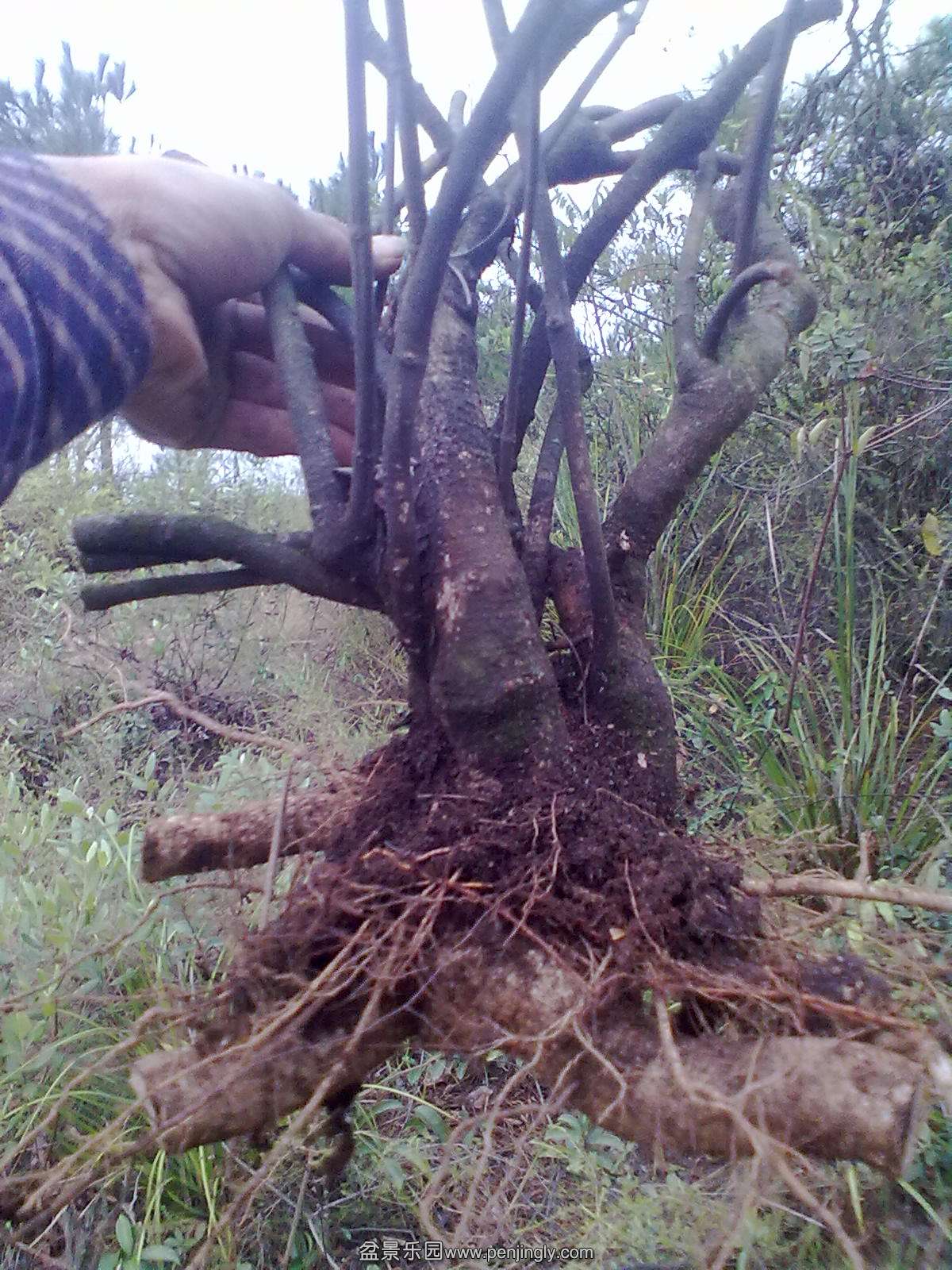 20131111180.jpg