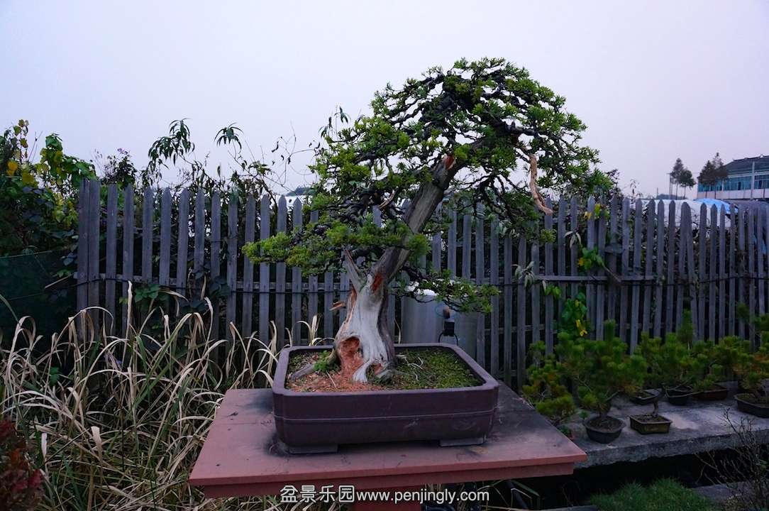 DSC00124.JPG