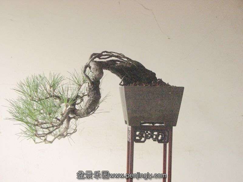 IMG_0086_.jpg