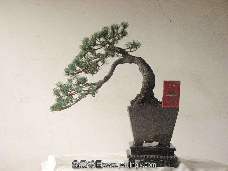 IMG_0089_.jpg