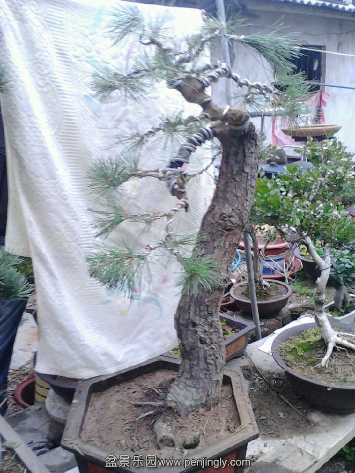 QQͼƬ20131113174211.jpg