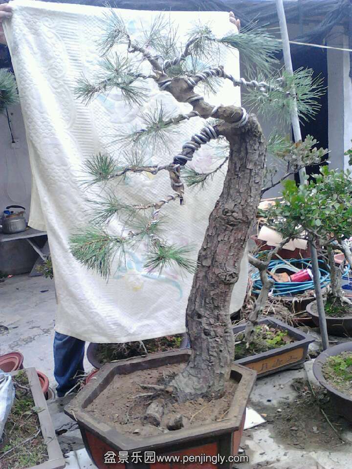 QQͼƬ20131113174217.jpg