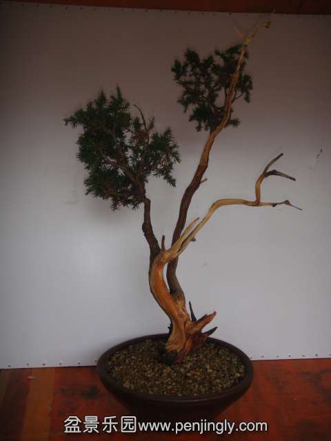 DSC02665.JPG