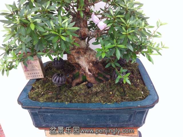 IMG_1365 (640x478).jpg