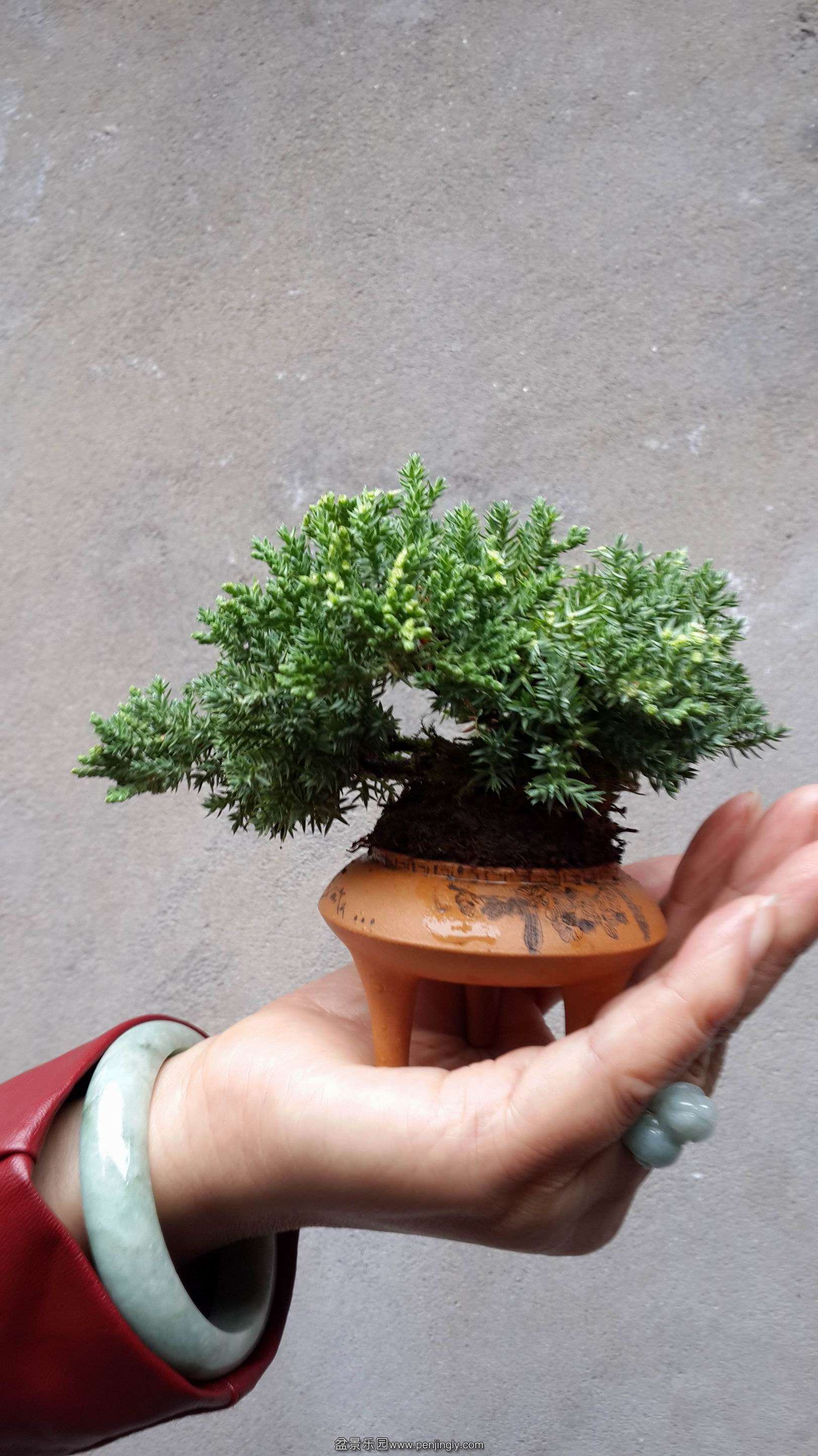 ת ת 20131114_140447.jpg