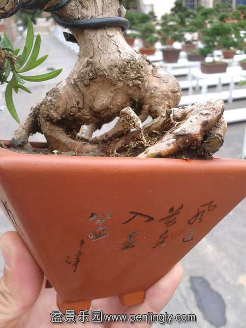 2013-11-10 13.02.38.jpg