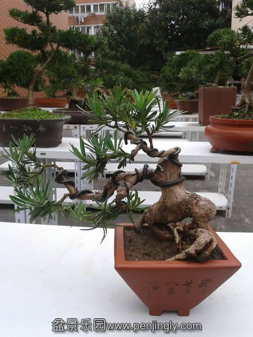 2013-11-10 13.06.25.jpg