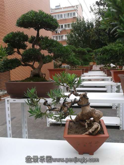 2013-11-10 13.10.46.jpg