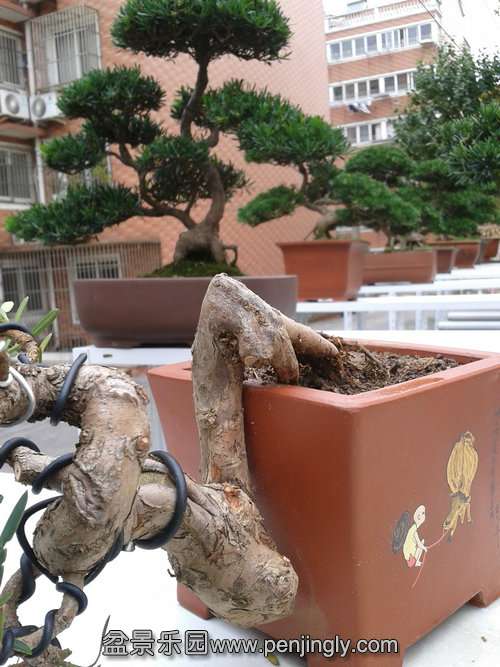 2013-11-10 13.19.34.jpg