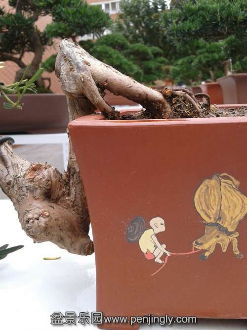 2013-11-10 13.21.58.jpg