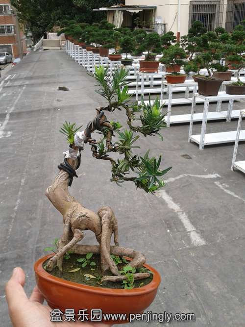 2013-11-10 13.42.53.jpg