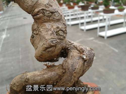 2013-11-12 13.57.13.jpg