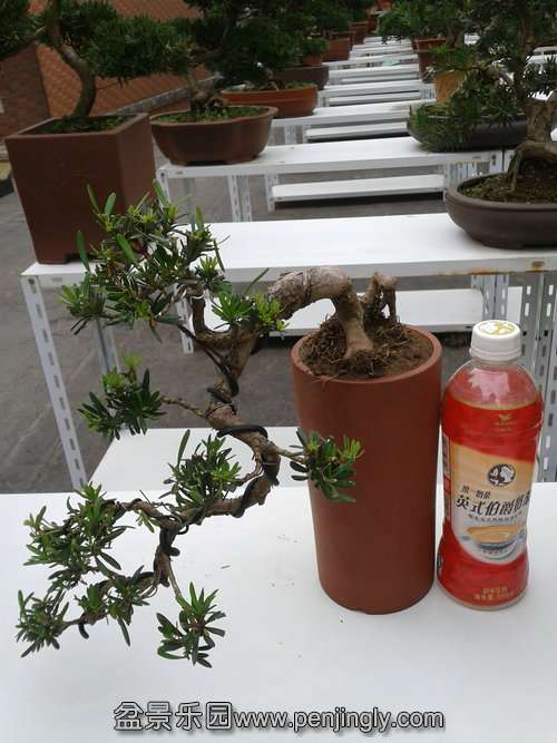 2013-11-12 14.04.56.jpg