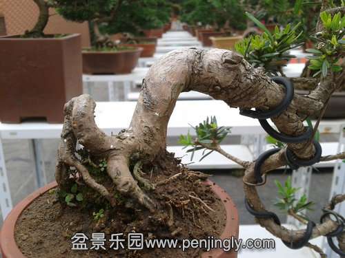 2013-11-12 14.06.10.jpg