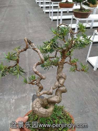 2013-11-12 14.13.58.jpg