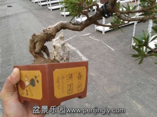 2013-11-12 14.19.00.jpg