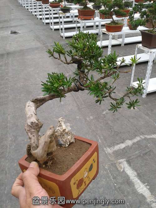 2013-11-12 14.20.20.jpg