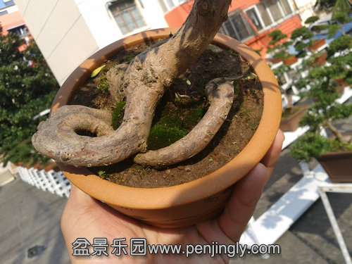 2013-11-13 12.57.23.jpg