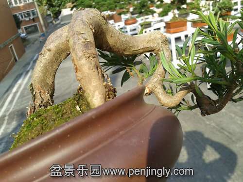 2013-11-13 13.08.25.jpg