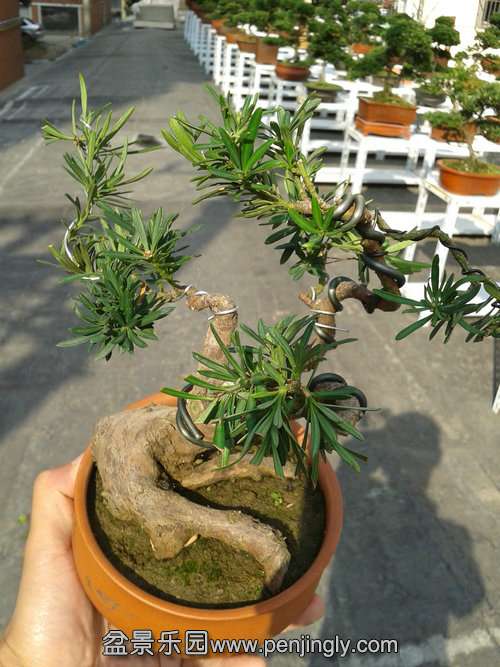 2013-11-13 13.15.28.jpg