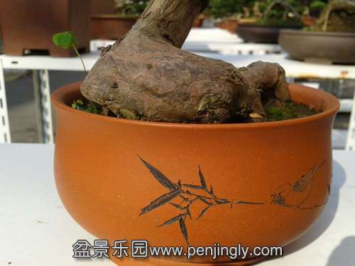 2013-11-13 13.12.15.jpg