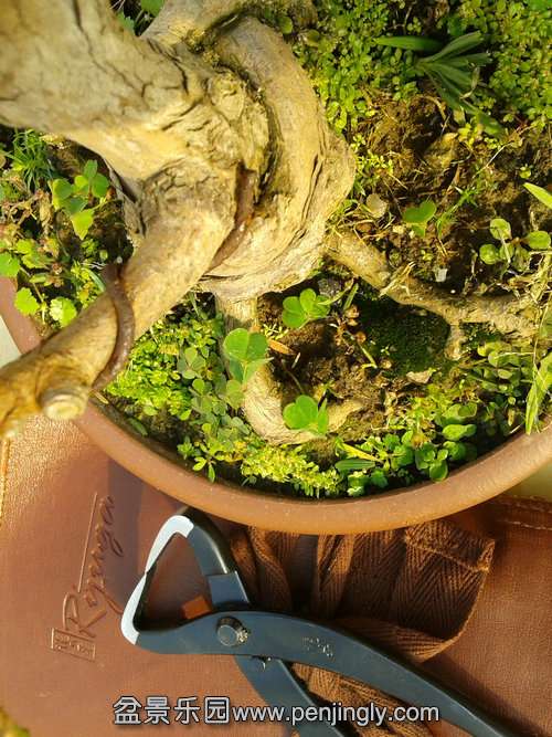 2013-11-13 13.28.30.jpg