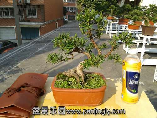 2013-11-13 13.39.08.jpg