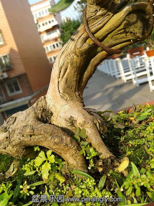 2013-11-13 13.41.19.jpg