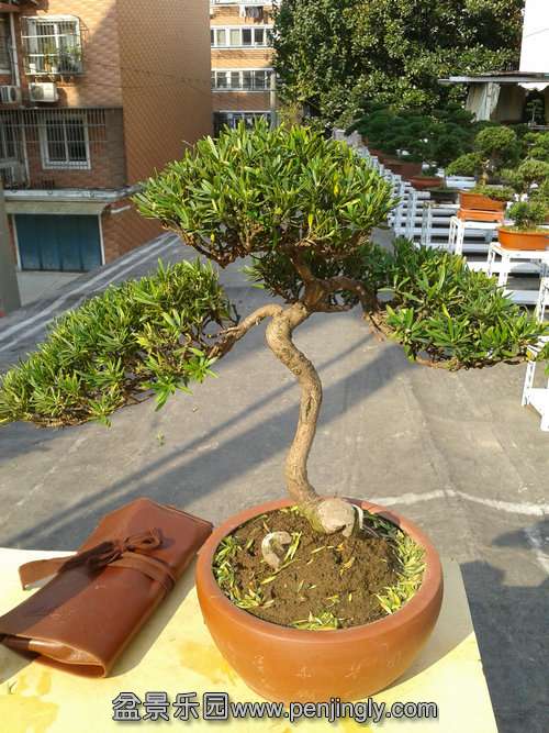 2013-11-13 13.49.43.jpg