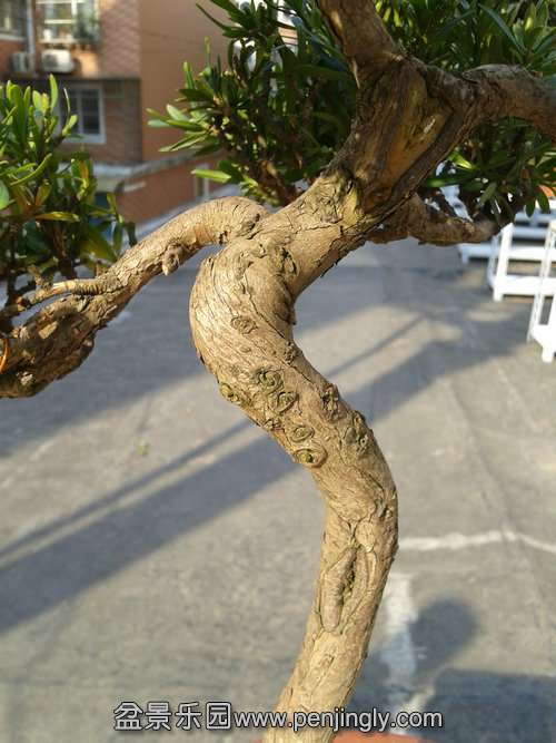 2013-11-13 13.50.36.jpg