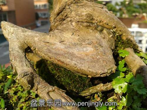 2013-11-13 13.53.27.jpg