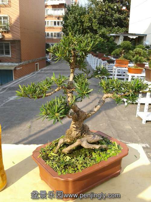 2013-11-13 13.53.53.jpg