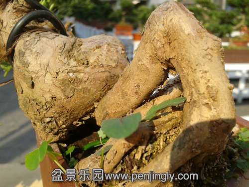 2013-11-13 13.55.01.jpg