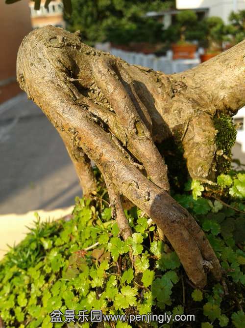 2013-11-13 13.56.44.jpg