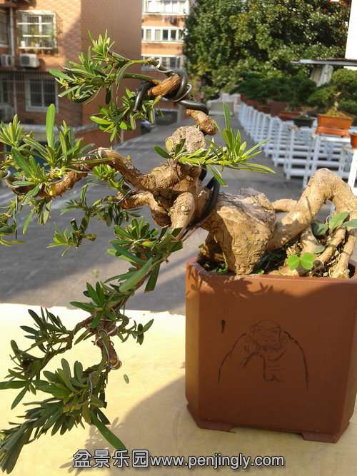 2013-11-13 13.55.36.jpg