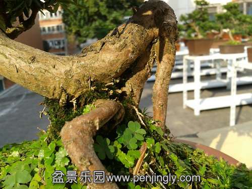 2013-11-13 13.57.02.jpg