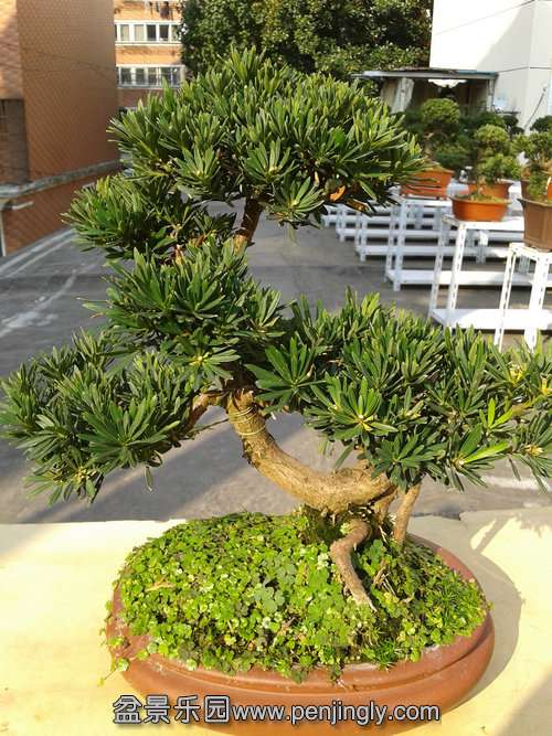 2013-11-13 13.57.15.jpg