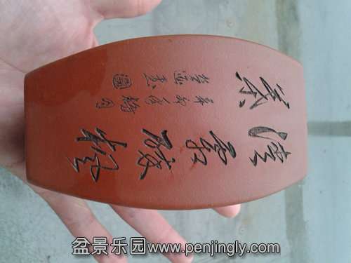 2013-11-14 13.27.13.jpg