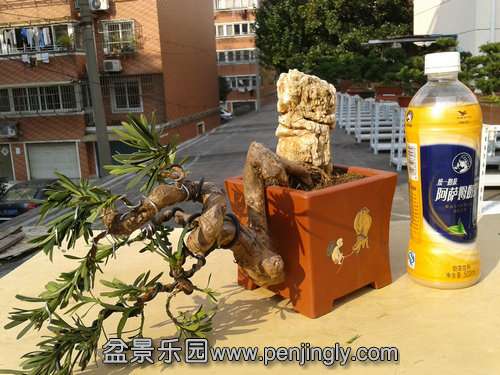 2013-11-13 14.08.40.jpg