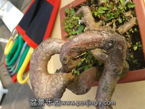 2013-11-01 13.48.29.jpg