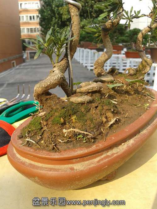 2013-11-01 14.04.56.jpg