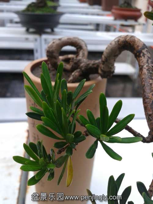 2013-11-02 16.07.08.jpg