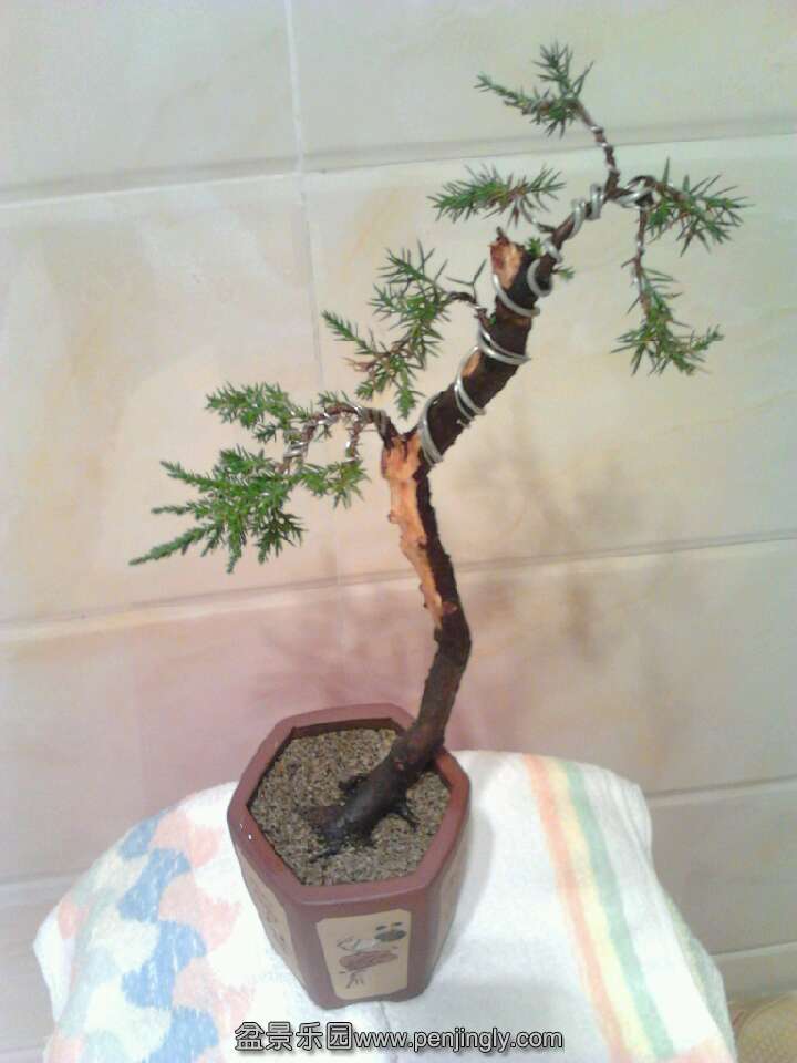 QQͼƬ20131114183600.jpg