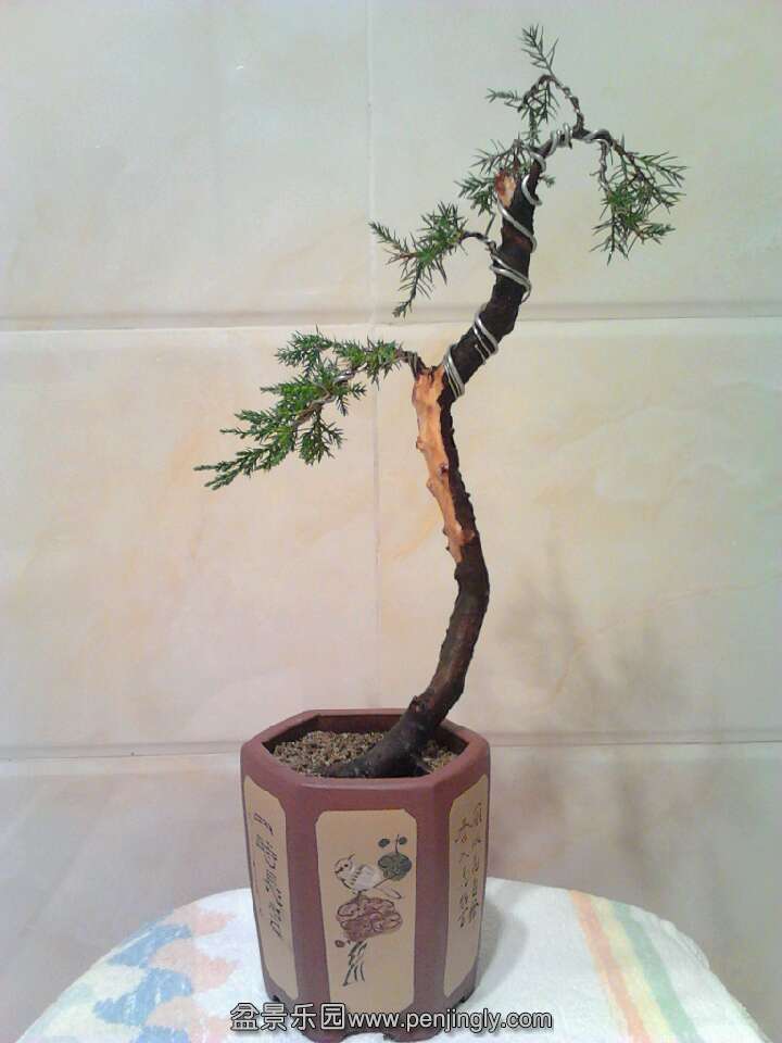 QQͼƬ20131114183605.jpg