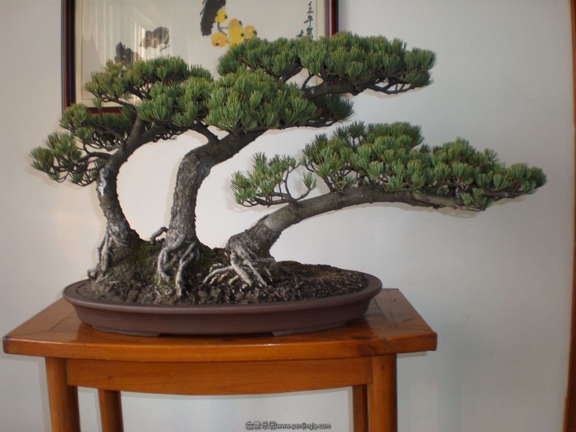 P1010280_.jpg