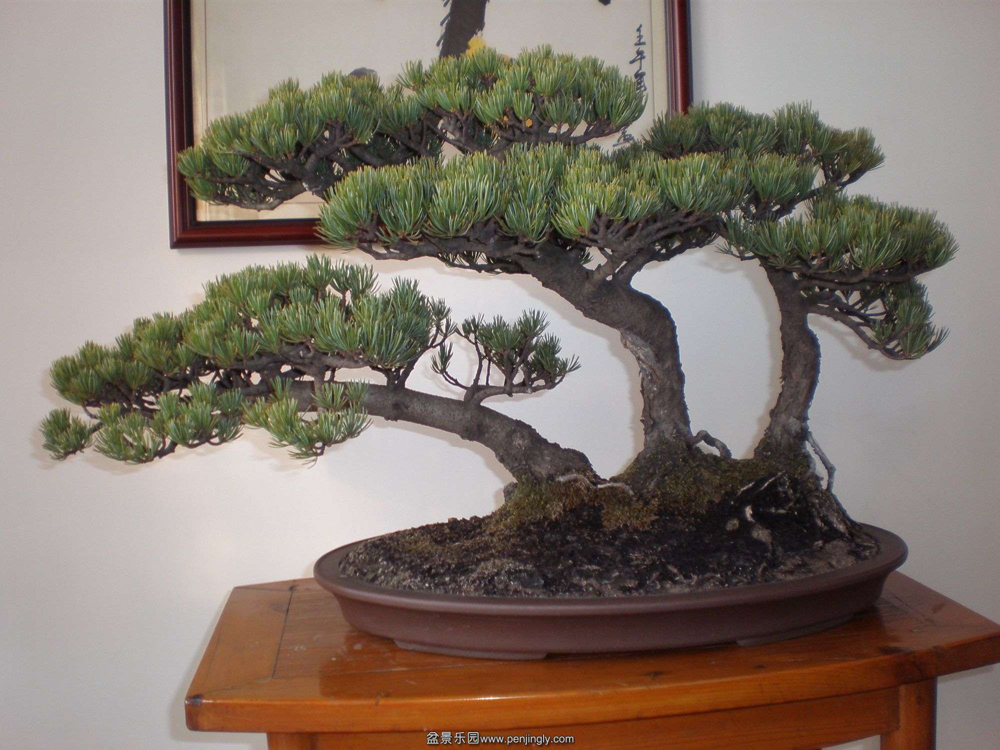 P1010282_.jpg