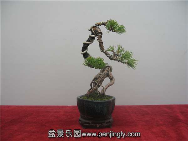 IMG_2970.JPG